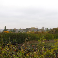 Вид на посёлок с огородов.