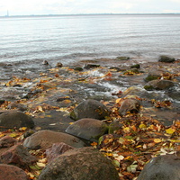 Финский залив