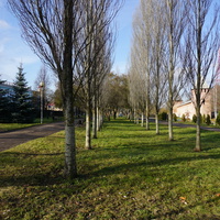 Смоленск 2017