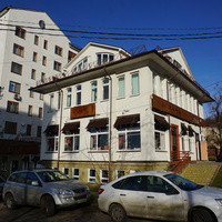 Мандариновый Гусь