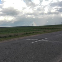 Дорога между Холопеничами и Яновщиной через Слободу