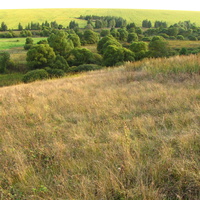 Вид на поле Сторожевского склона.