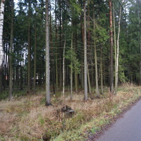 Зеленогорск