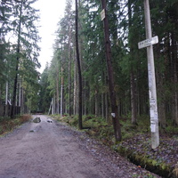 Зеленогорск