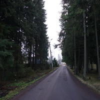 Улица Лесная 1