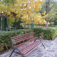 Осень а парке Победы