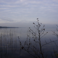 Слегка туман над озером Сестрорецкий Разлив,