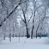 Парк. Первый снег