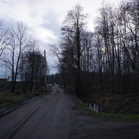 Петровская алея.