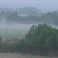Туман на лугу хутора Выдрин.