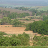 Вид на луг хутора Выдрин. фото Семенихина Г.А.