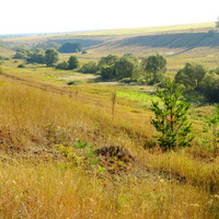 Вид на луг в напрвлении Большого Каменца и дальнего хутора.