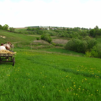 Вид на Большой Каменец от ближнего хутора.