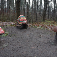 В сквере Чернобыльцев.