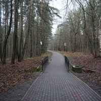 В сквере Чернобыльцев.