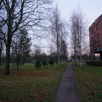 Сестрорецк