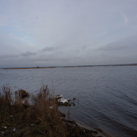 Сестрорецк п.Разлив.