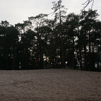 Сестрорецк п.Разлив.