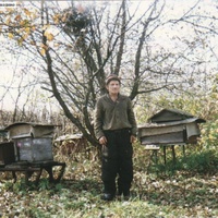 На пасеке Зайцева в селе Илкодино. 1996г.