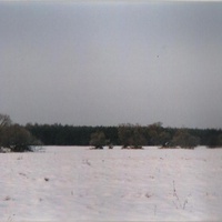 На территории бывшей деревни Баженово. 1993г.