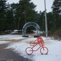 Сосновый Бор