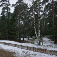 Сосновый Бор