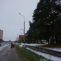 Сосновый Бор