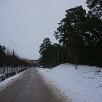 Сосновый Бор