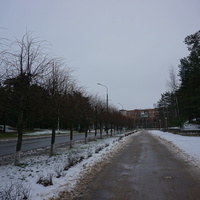 Сосновый Бор