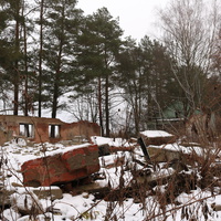 ДОЛ Ласточка