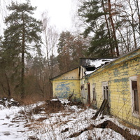 ДОЛ Ласточка