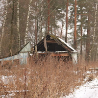 ДОЛ Ласточка