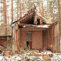 ДОЛ Ласточка