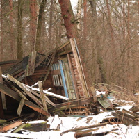 ДОЛ Ласточка