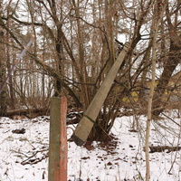 Детский оздоровительный лагерь Ласточка