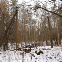 Детский оздоровительный лагерь Ласточка Октябрьского трамвайного депо