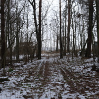 Детский оздоровительный лагерь Ласточка Октябрьского трамвайного депо