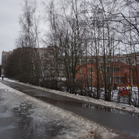 Сестрорецк