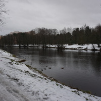 Сестрорецк