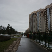 Сестрорецк