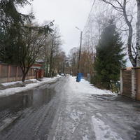 Сестрорецк