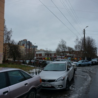 Сестрорецк