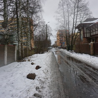 Сестрорецк