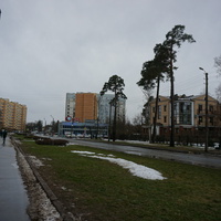 Сестрорецк