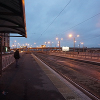 Сестрорецк