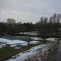 Сестрорецк