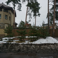 Сестрорецк п.Разлив.