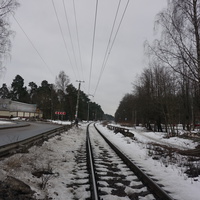 Сестрорецк п.Разлив.