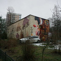 Сестрорецк п.Разлив.