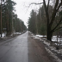 Сестрорецк п.Разлив.